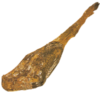 jamon-estilizado